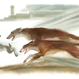 Джек - боевой конёк