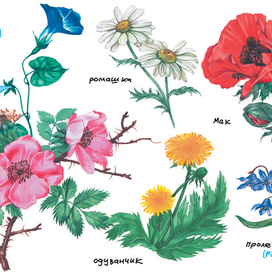 Энциклопедия для девочек