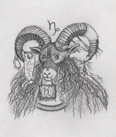 ЗНАКИ ЗОДИАКА козерог