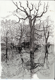 Деревья в воде