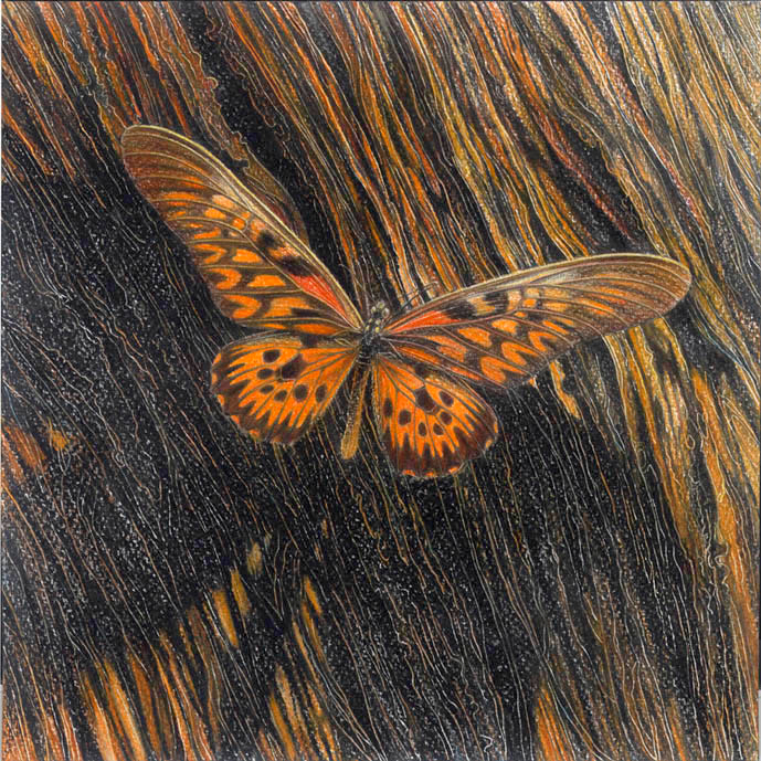 КОЛЛЕКЦИЯ. ПАРУСНИК