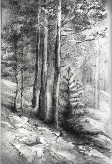 А тянет к соснам....