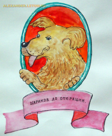 Собачье сердце, Шариков до операции