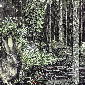 Августовская чаща