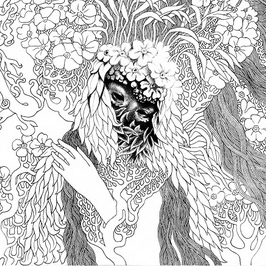 Звезда Сулеймана