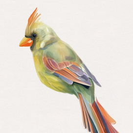 Иллюстрация. Птица. 