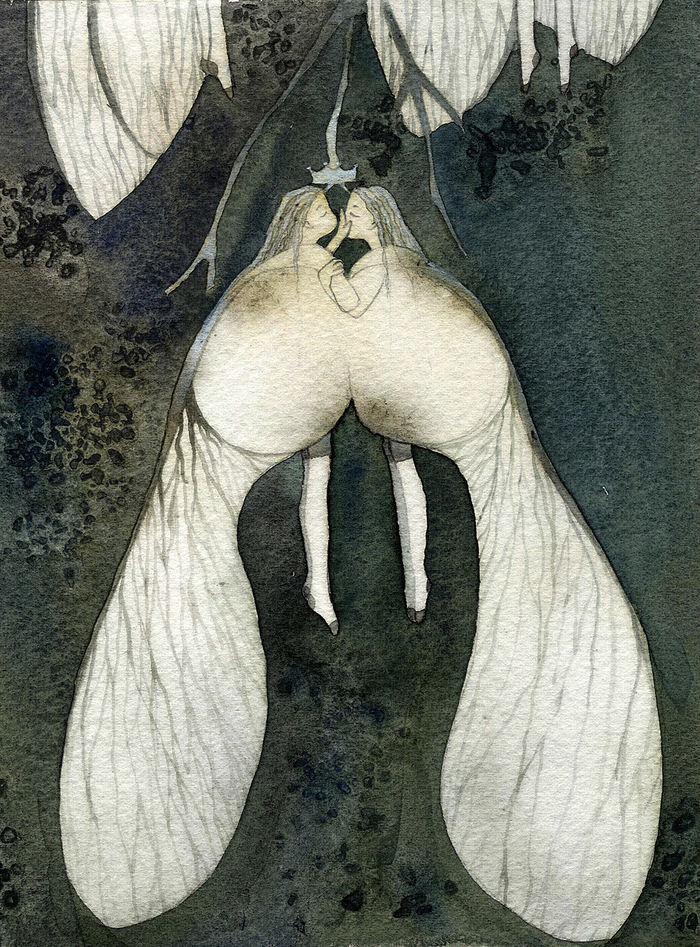 "Двукрылатка"