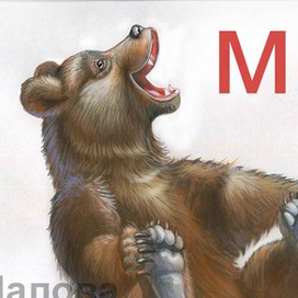 М-Медведь, Мышь