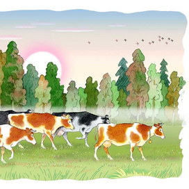 К новой книге