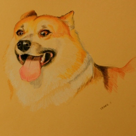 веселое создание