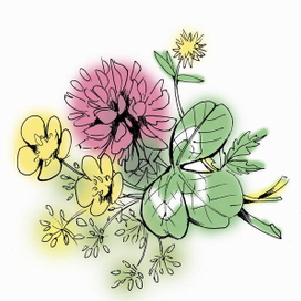 Букетик клевера