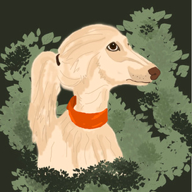 собака в зелени