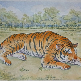 Тигр парящий