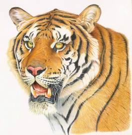 Календарь. Ноябрь