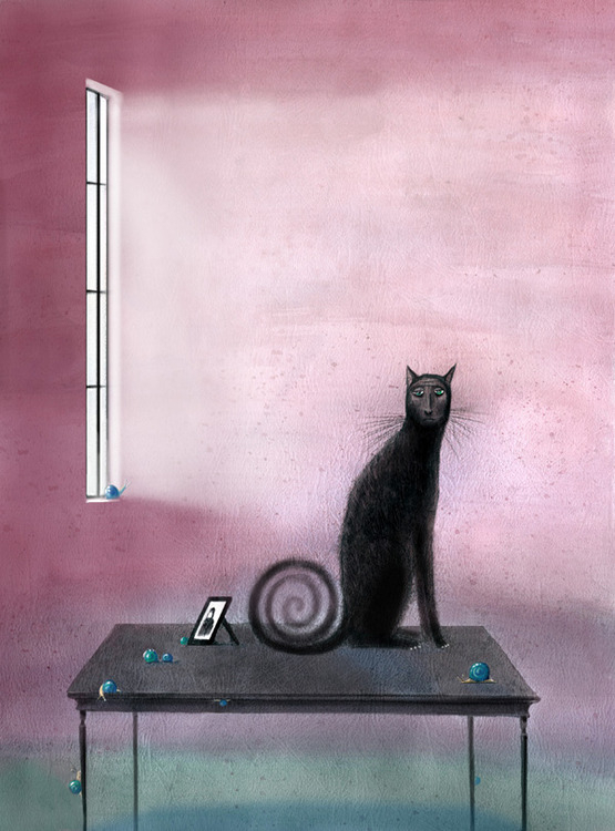 "Кошка и Время"