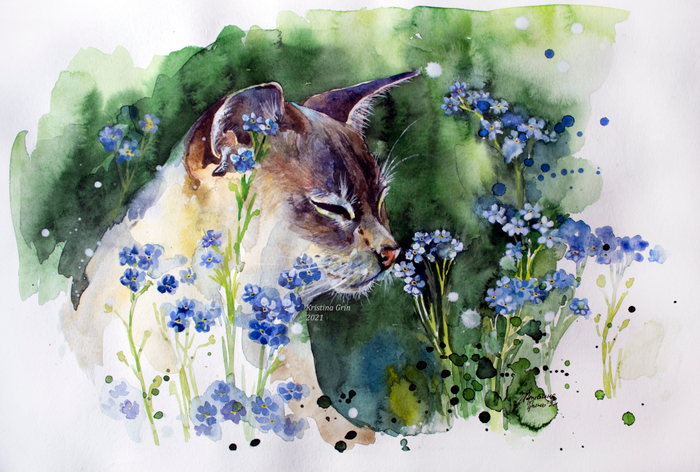 Кот в незабудках (Cat in Flowers)