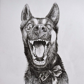 Собачье счастье 