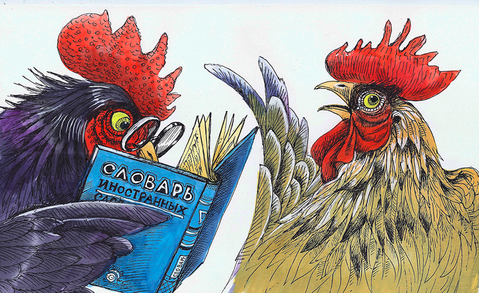 Айн кокен драй петух.