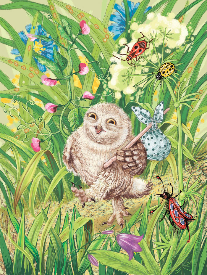 А я к бабушке иду.