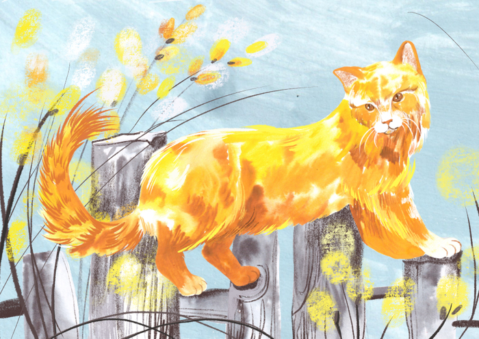 Домашние животные