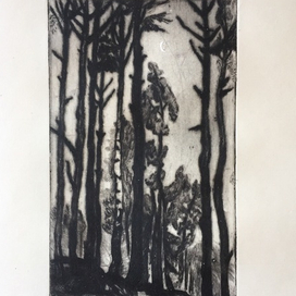 Вечерний лес 