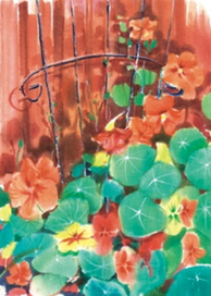 Серия-Финские цветники,лето