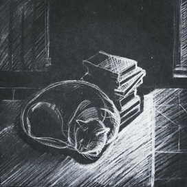 Спят усталые котушки, книжки спят...