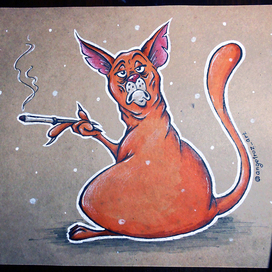 Вредный кот