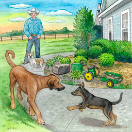 иллюстрации к книге3