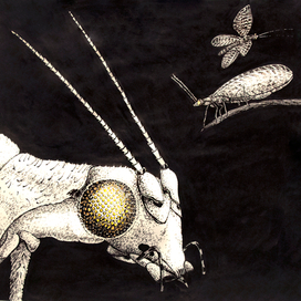 инктобер 2019 (treasure, ghost, ancient)