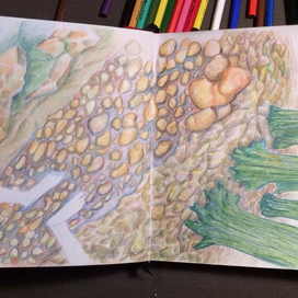 Видение перед сном