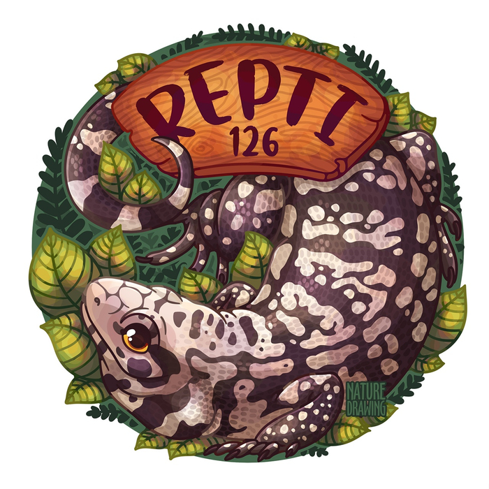 Чёрно-белый тегу