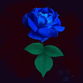 Rose 