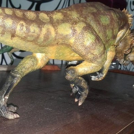 самцы пахицефалозавра ( Pachycephalosaurus wyomingensis)