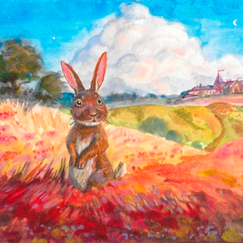 Мой Кролик Питер. Место куда хочется попасть.