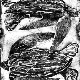 Любовные письма принцессы Атех и Аль-Сафера