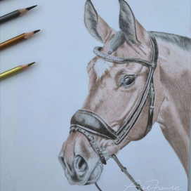 Символ года