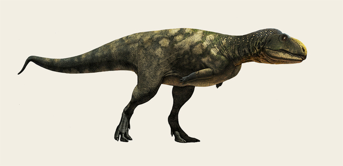 Eoabelisaurus (Эоабелизавр)