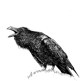 Ворон
