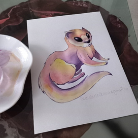 Полярная норка