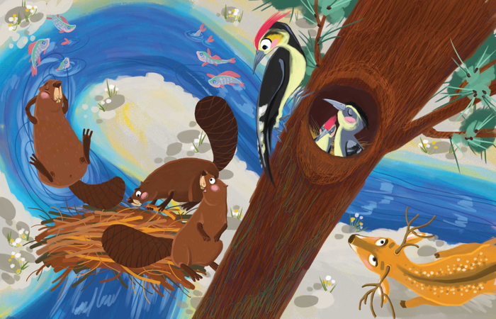 Бобры и дятлы