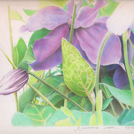 В уголочке лета