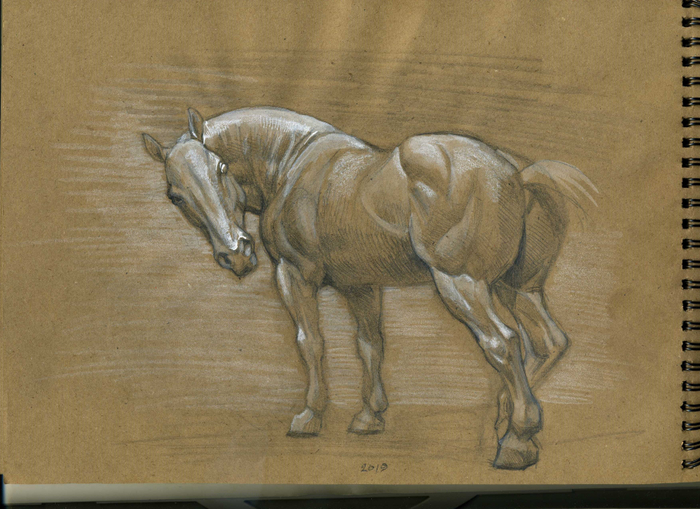 коньььььььь