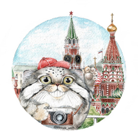 Манул-путешественник