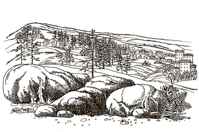 Белая стрела.