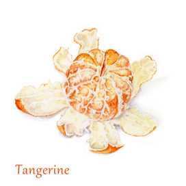 Акварельная иллюстрация: мандарин.