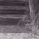 Леди Годива