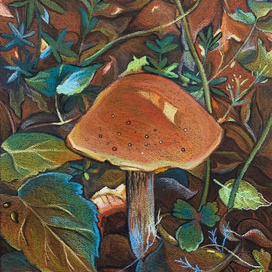 Лесные впечатления 