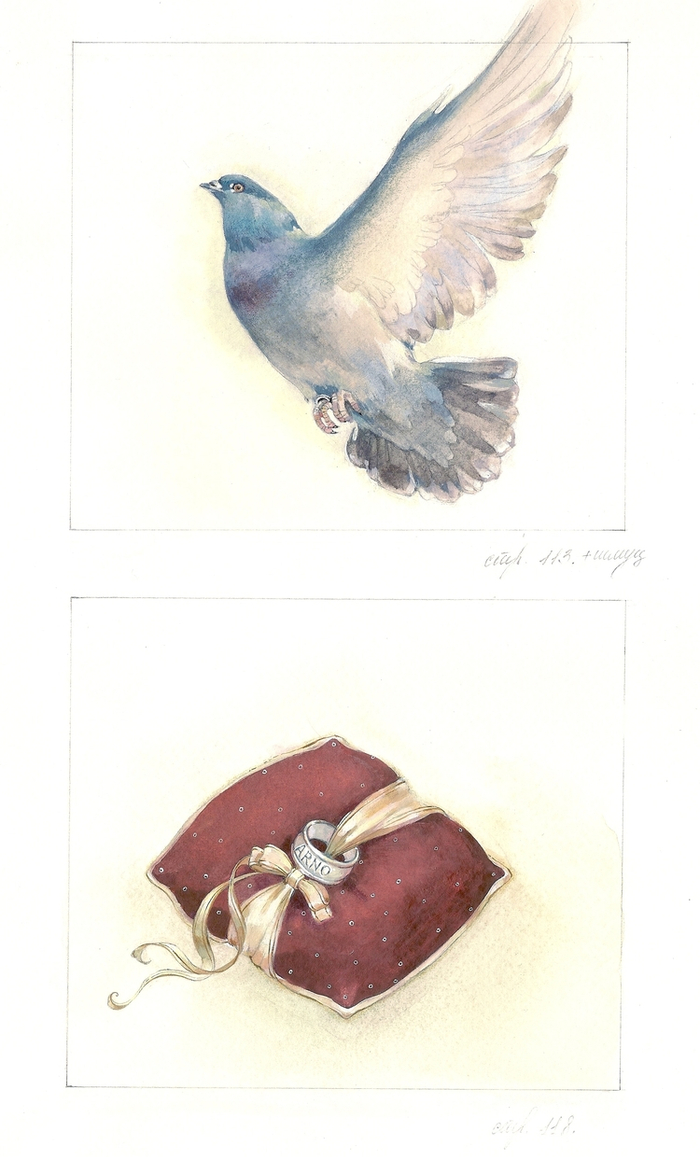 Окольцованный