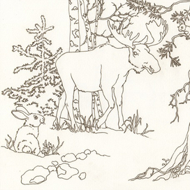 Раскраска))